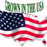 my grown in the usa pic cropped